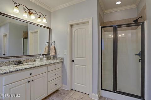 435 Julee Cir, Brandon, MS 39042 photo 28