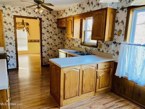 4451 Victoria Dr, Nesbit, MS 38651 photo 2