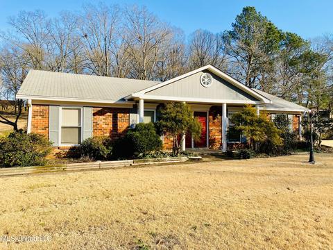 4451 Victoria Dr, Nesbit, MS 38651 photo 1