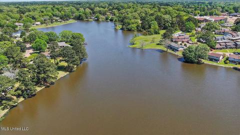 14 Stonegate Dr, Brandon, MS 39042 photo 46