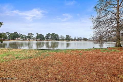 14 Stonegate Dr, Brandon, MS 39042 photo 38