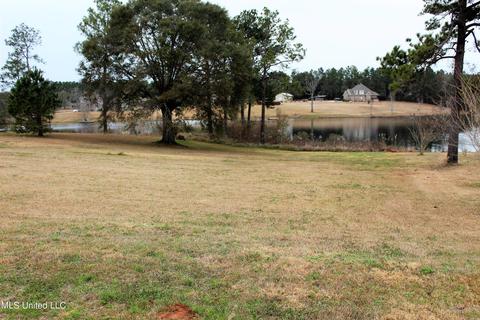 130 Sandra Parker Dr, Lucedale, MS 39452 photo 35