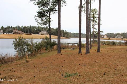 130 Sandra Parker Dr, Lucedale, MS 39452 photo 4