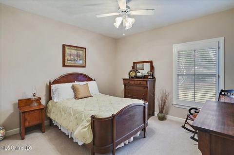 224 Northwind Dr, Brandon, MS 39047 photo 28
