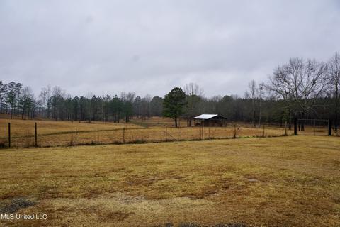 719 Glaze Rd, Lena, MS 39094 photo 18
