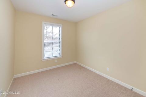 4225 Ritchie Dr, Olive Branch, MS 38654 photo 16