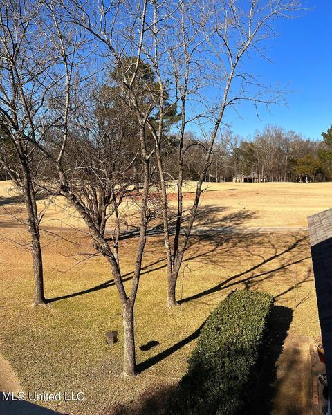 1010 Hackberry Ln, Canton, MS 39046 photo 47