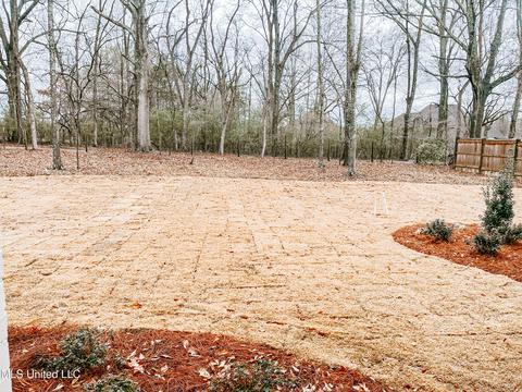 333 Penrose Pl, Madison, MS 39110 photo 14