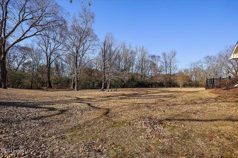 100 Sagefield Dr, Canton, MS 39046 photo 40