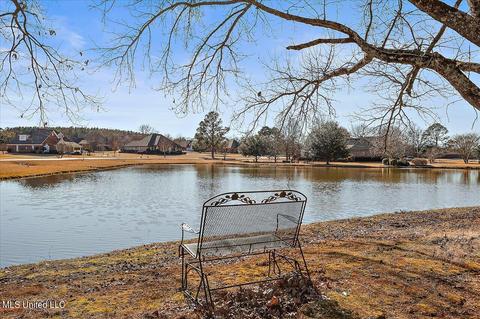 100 Sagefield Dr, Canton, MS 39046 photo 41
