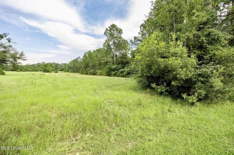 C J Dellie Road, Saucier, MS 39574