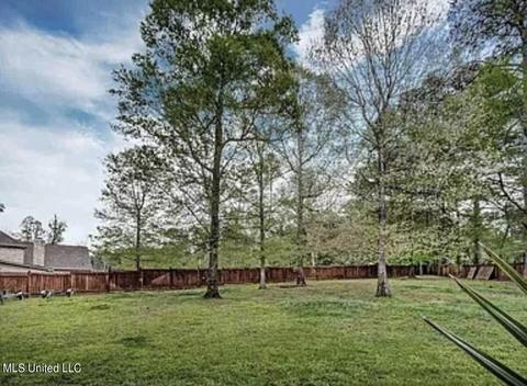 718 Inheritance Pl, Flowood, MS 39232 photo 8