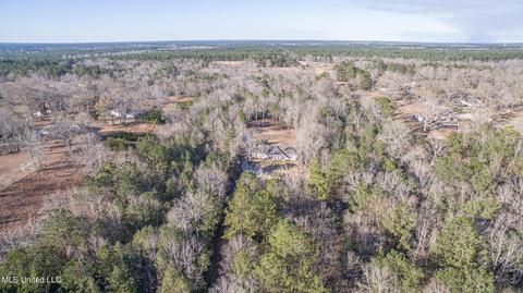 19112 Pete Hickman Rd, Saucier, MS 39574 photo 18