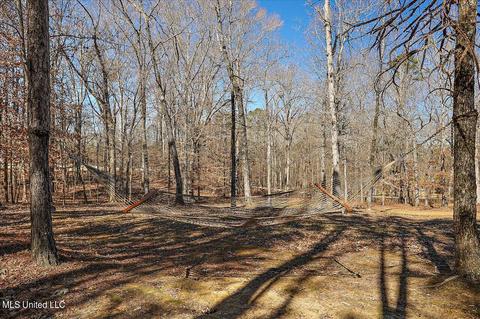 751 Westerly Dr, Brandon, MS 39042 photo 51