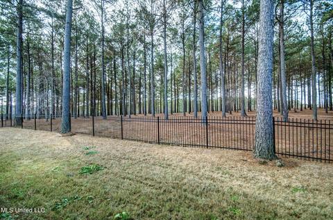 109 Honours Ln, Madison, MS 39110 photo 47