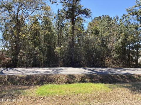 Nhn W Wortham Road, Saucier, MS 39574