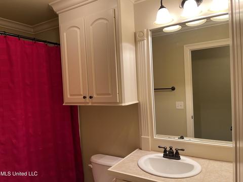 125 Palin Dr, Madison, MS 39110 photo 22