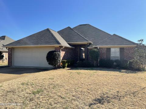 125 Palin Dr, Madison, MS 39110 photo 1