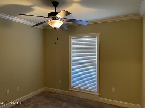 125 Palin Dr, Madison, MS 39110 photo 19