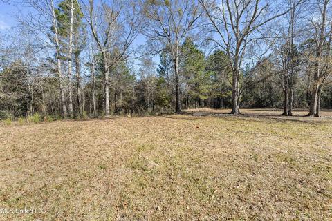 199 John Willis Rd, Wiggins, MS 39577 photo 22