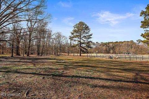 4091 Kimbell Rd, Terry, MS 39170 photo 50