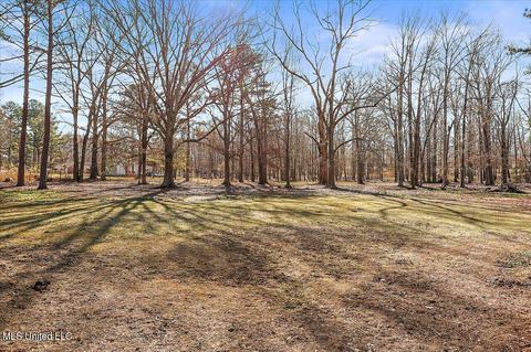 4091 Kimbell Rd, Terry, MS 39170 photo 47