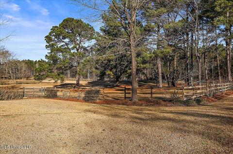 4091 Kimbell Rd, Terry, MS 39170 photo 7
