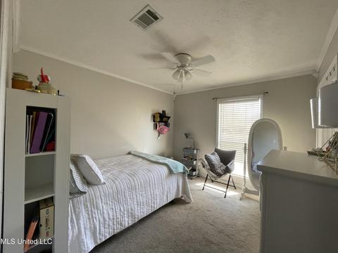 331 Water Oak Rd, Brandon, MS 39047 photo 13