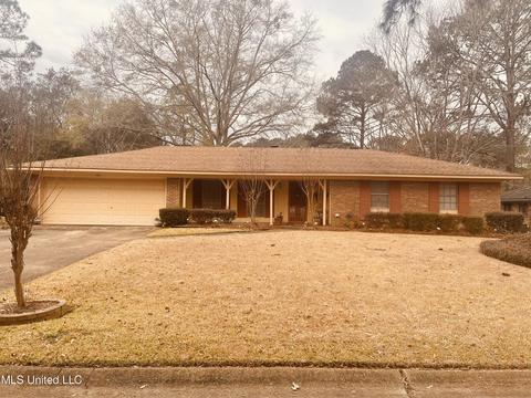 161 Pine Island Dr, Jackson, MS 39206 photo 1