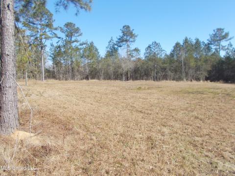 Bobcat Trail Saucier Ms