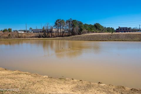 158 Amethyst Drive Dr, Brandon, MS 39047 photo 33