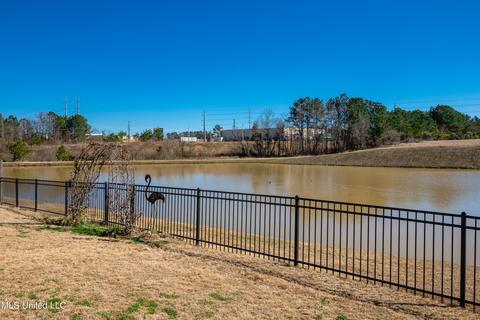 158 Amethyst Drive Dr, Brandon, MS 39047 photo 34