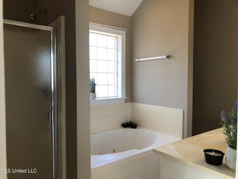 608 E Abbey Pl, Brandon, MS 39047 photo 61