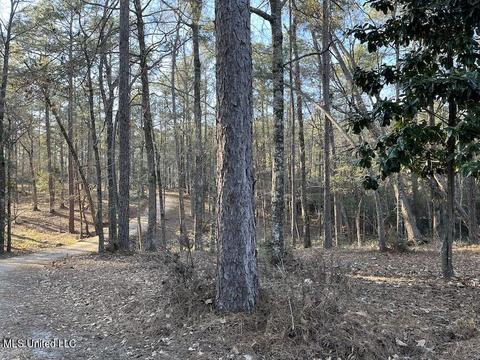 66 Bluff Creek Rd, Wiggins, MS 39577 photo 9