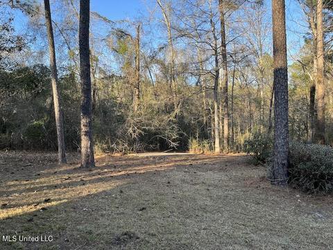 66 Bluff Creek Rd, Wiggins, MS 39577 photo 10
