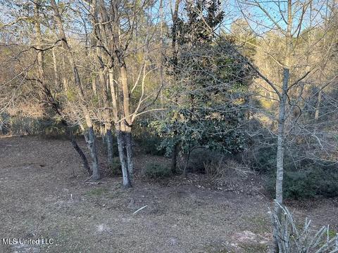 66 Bluff Creek Rd, Wiggins, MS 39577 photo 12