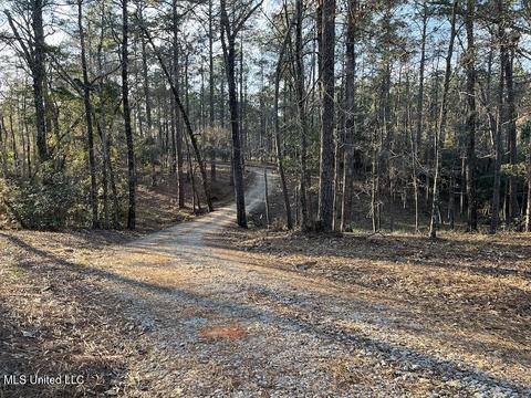 66 Bluff Creek Rd, Wiggins, MS 39577 photo 16