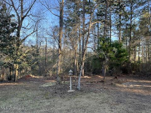 66 Bluff Creek Rd, Wiggins, MS 39577 photo 11