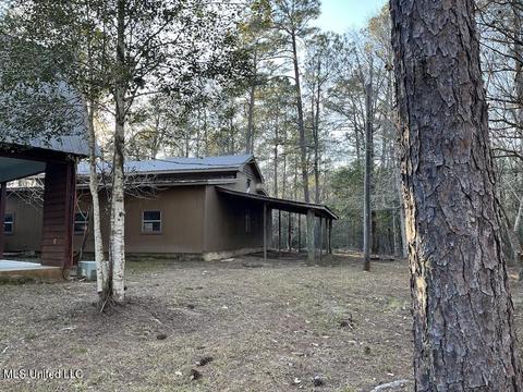 66 Bluff Creek Rd, Wiggins, MS 39577 photo 6