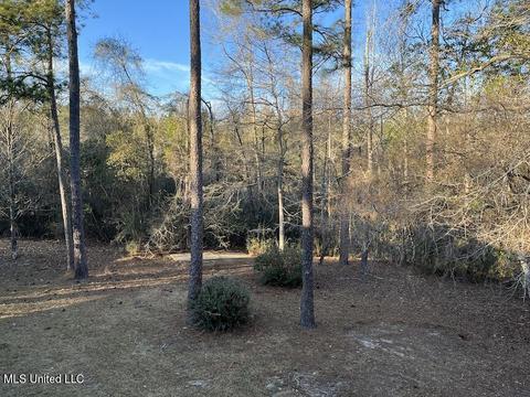 66 Bluff Creek Rd, Wiggins, MS 39577 photo 13