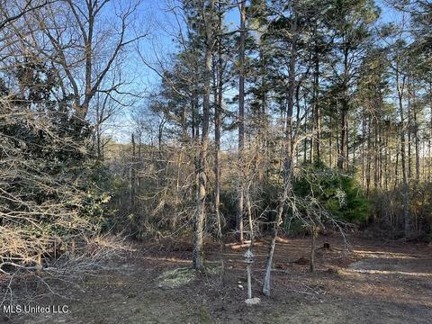66 Bluff Creek Rd, Wiggins, MS 39577 photo 14
