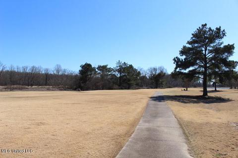 6468 Cheyenne Dr, Olive Branch, MS 38654 photo 30