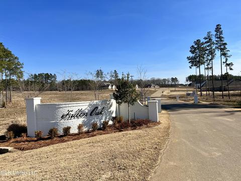 147 Fallen Oak Dr, Brandon, MS 39047 photo 14