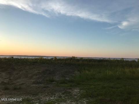 445 Arbor Vw, Brandon, MS 39047 photo 4