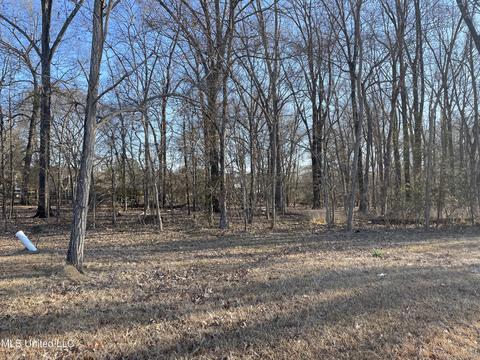 0 Bentwood Dr, Clinton, MS 39056