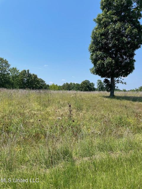 12 Hotophia Hills Drive Rd, Batesville, MS 38606
