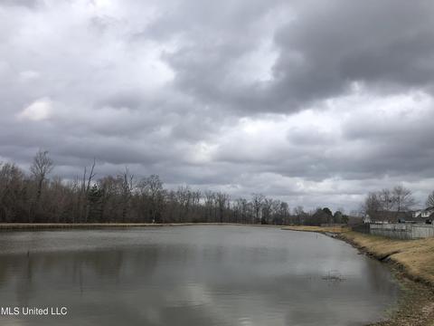 726 Prominence Dr, Flowood, MS 39232 photo 23