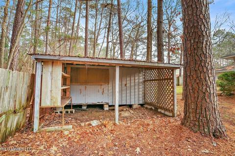 211 Redbud Trl, Brandon, MS 39047 photo 35