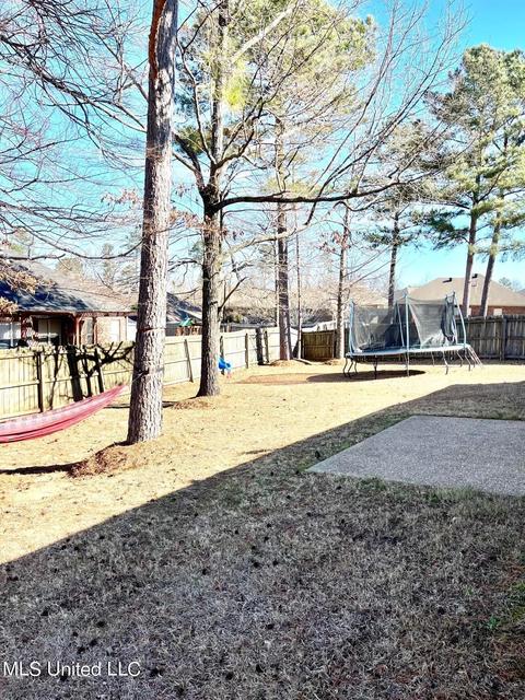 511 Suffolk Cv, Brandon, MS 39047 photo 19