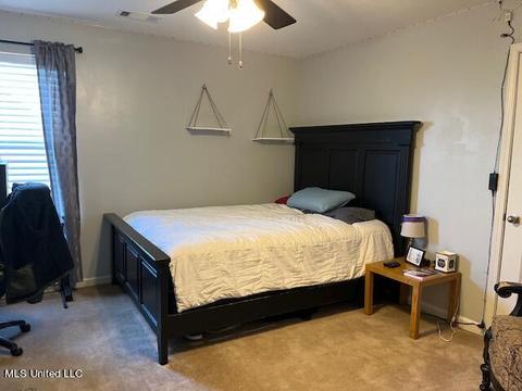 3841 E Mitchells Corner Rd, Olive Branch, MS 38654 photo 21